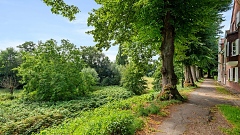 oliverlippert_views_145